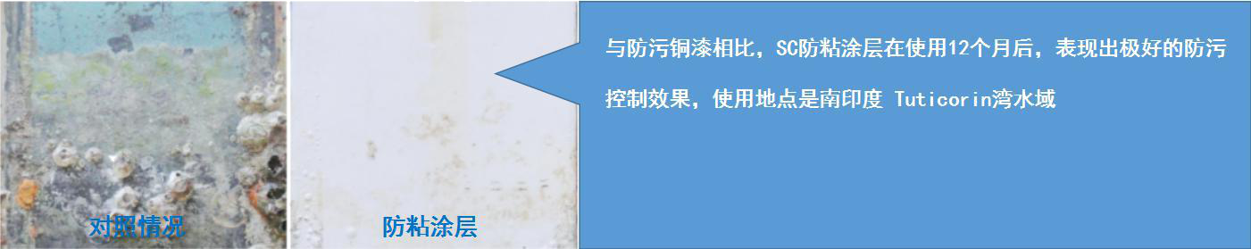 圖片2.png/